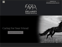 Tablet Screenshot of delaneyvetservices.com